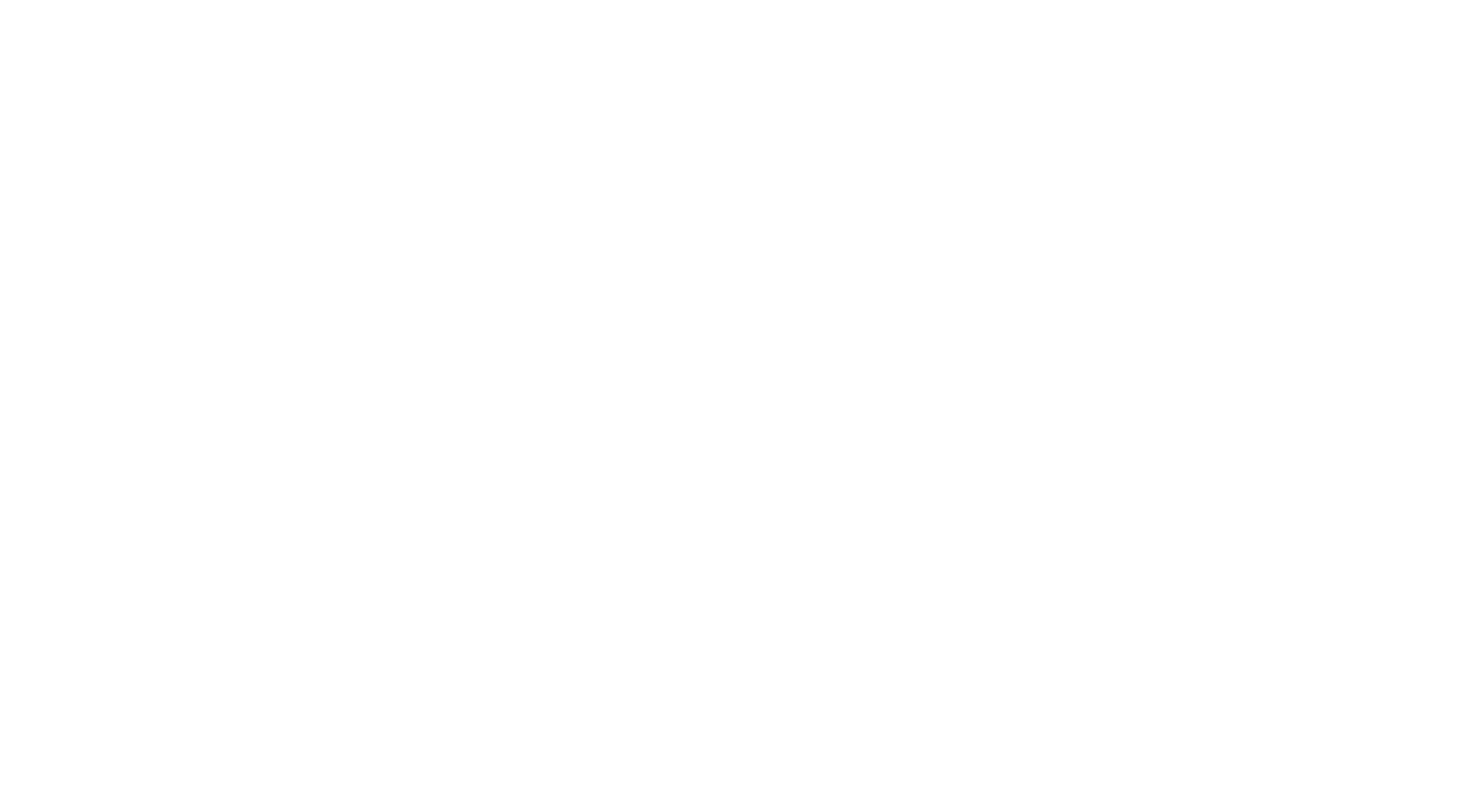 Logo Serasa Experian